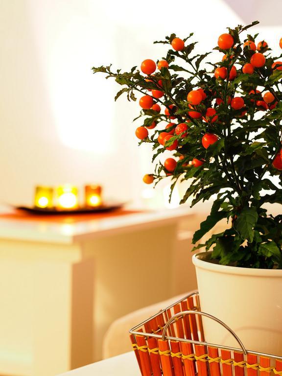 Apartments Anuska Cavtat Ngoại thất bức ảnh